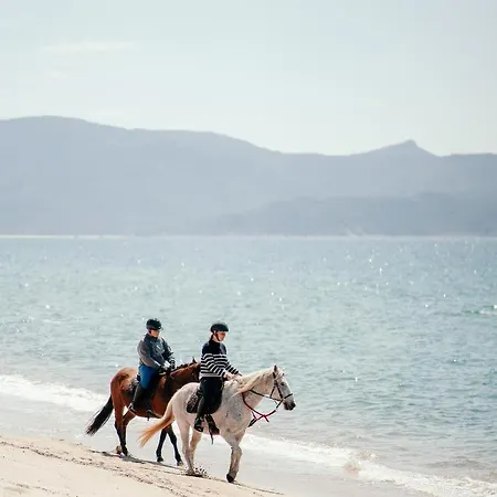 Hotel Le Golfe Porto-Pollo