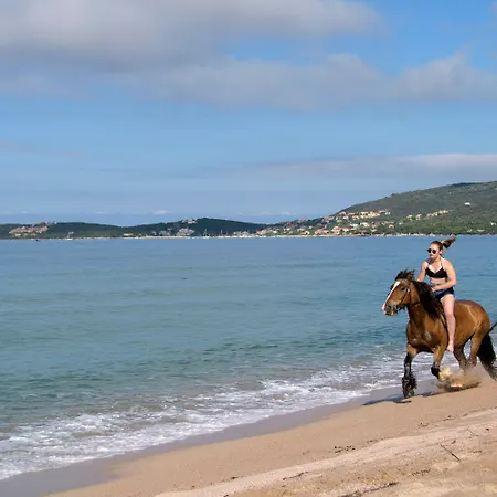 Le Golfe 4*