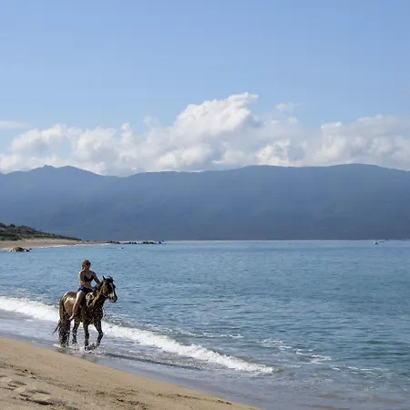 Szálloda Le Golfe Porto Pollo