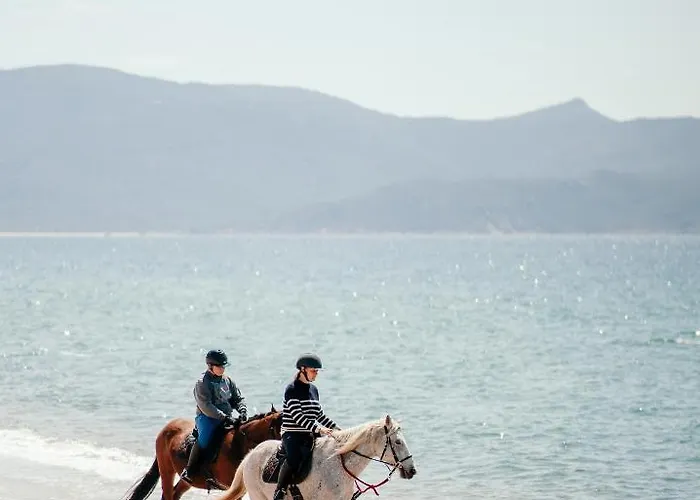 Hotel Le Golfe Porto Pollo