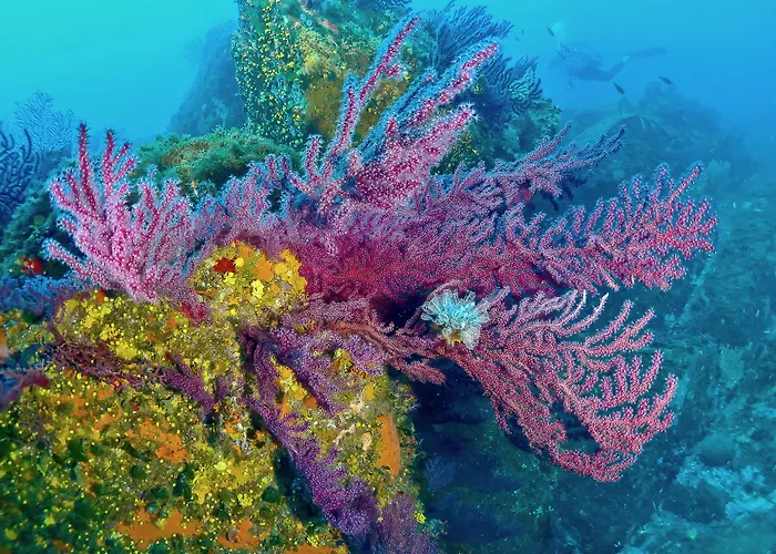 Hotel Le Golfe Porto Pollo